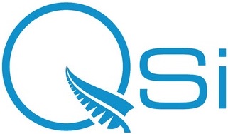 Quality Safety International logo
